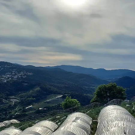 招待所 Lois Sant Cebrià de Vallalta