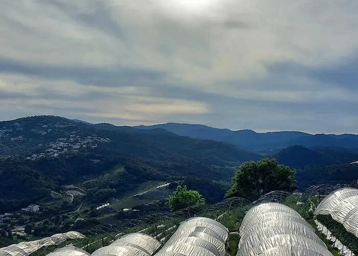 게스트하우스 Lois Sant Cebrià de Vallalta